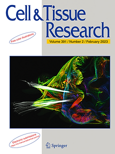 Screenshot 2023-04-14 at 09.57.55.png